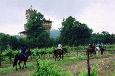 Italy-Tuscany-Seven Castles Ride